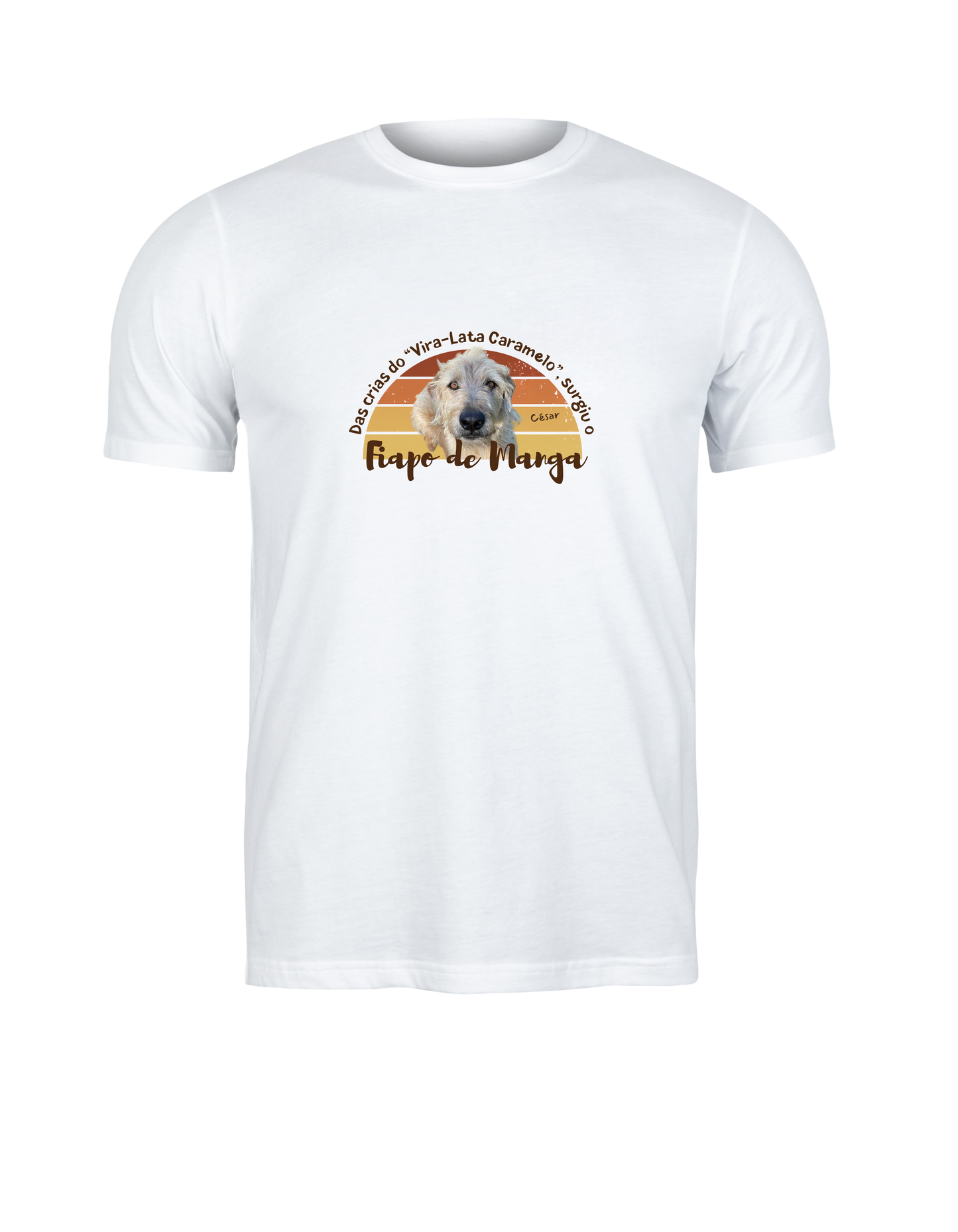 Camiseta Fiapo de Manga Vintage Edition
